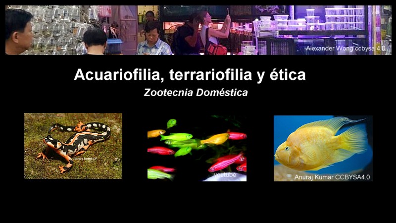 Acuariofilia y ética