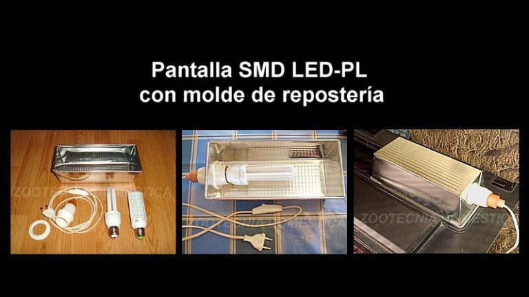 Pantalla con molde de repostería