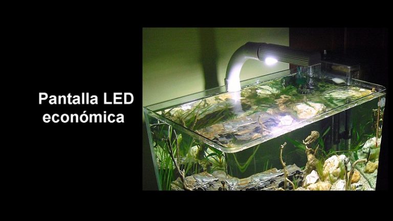 Lámpara LED económica