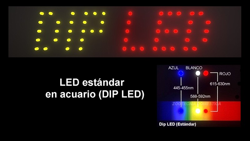 LED dip