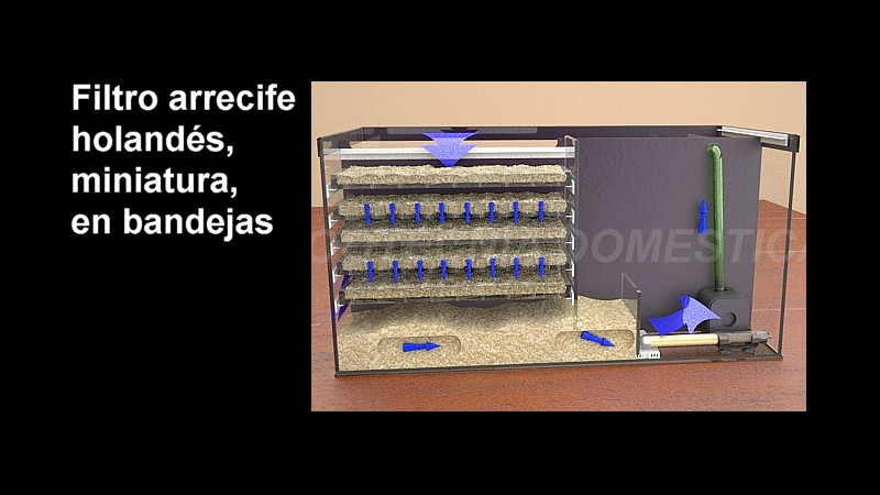 Filtro arrecife holandés