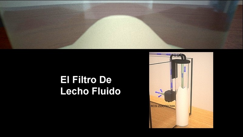 Filtro lecho fluido interior
