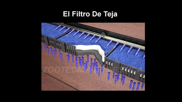 Filtro de teja