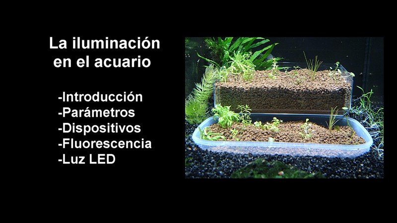 Iluminación
