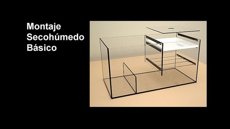 Montaje seco-húmedo básico