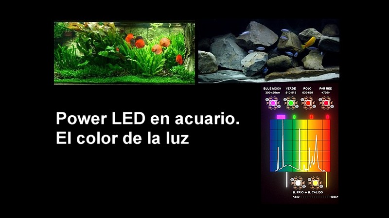 El color de la luz
