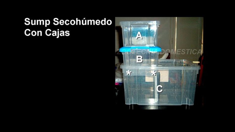 Sump seco-húmedo con cajas
