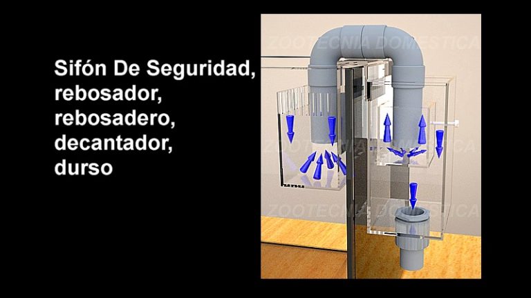 Sifón de seguridad