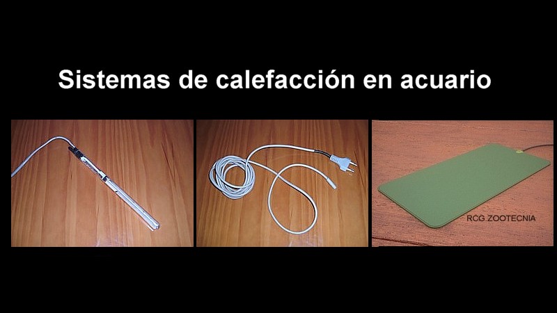 Sistemas de calefacción en acuario