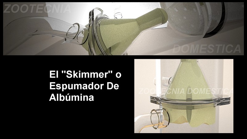 Espumador de proteínas (Skimmer)