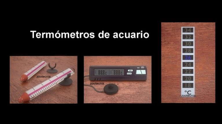 Termómetros acuario