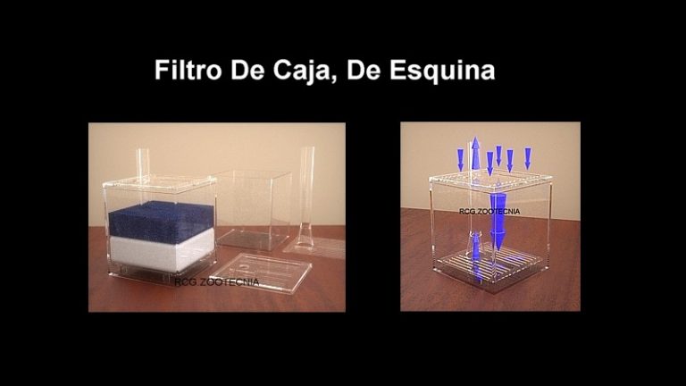 Filtro de caja, de esquina