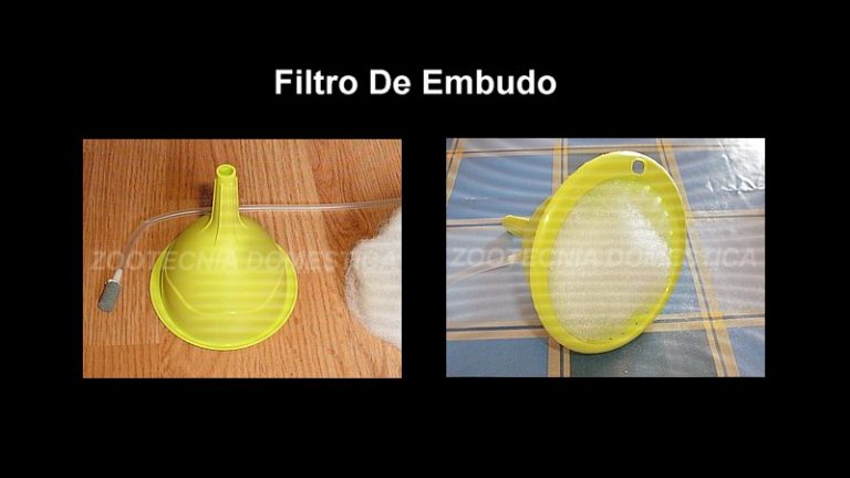 Filtro de embudo