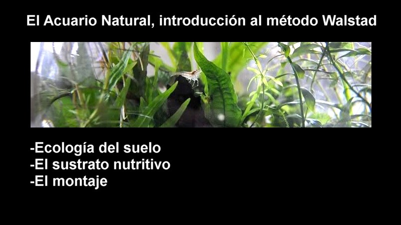 El acuario natural (Introducción)