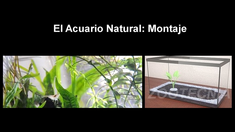 El sustrato nutritivo