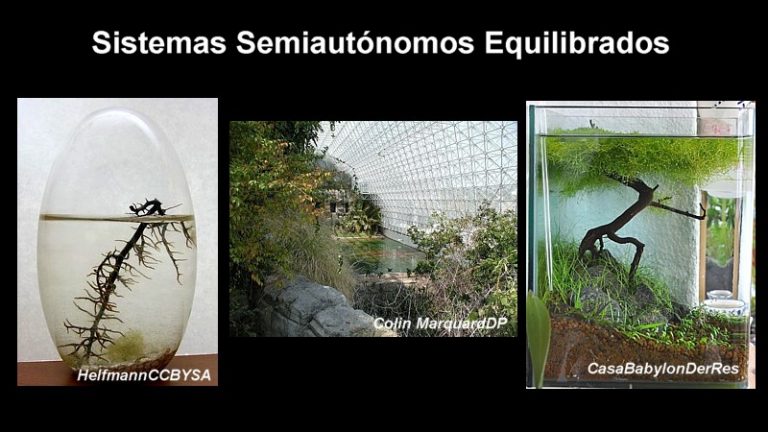 Sistemas semiautónomos equilibrados
