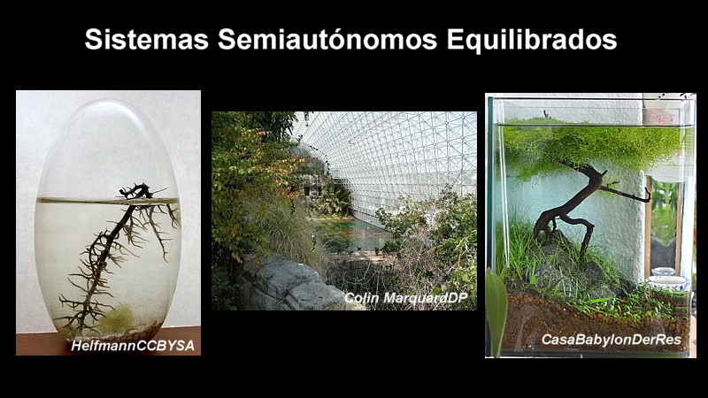 Sistemas semiautónomos equilibrados