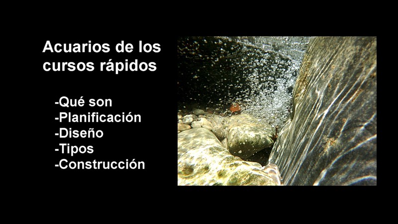 acuarios cursos rapidos