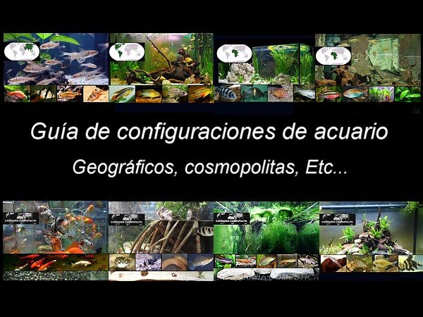 Guía de configuraciones acuario