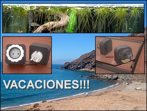Acuario en vacaciones