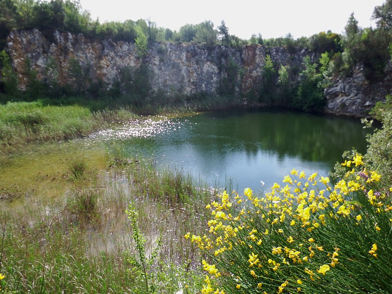 Guixeres, vista general