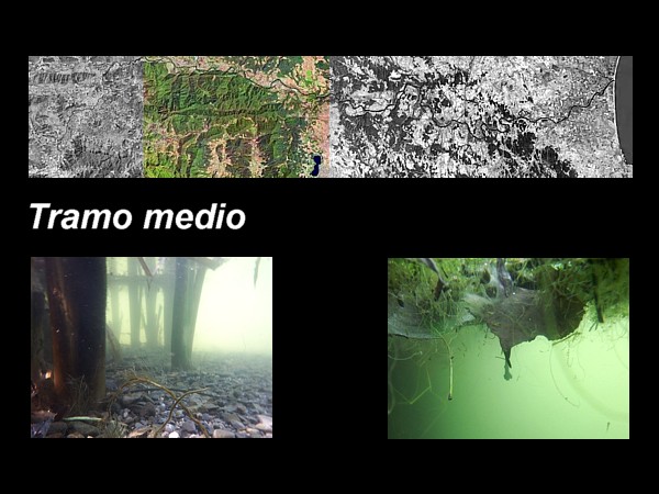 Tramo medio