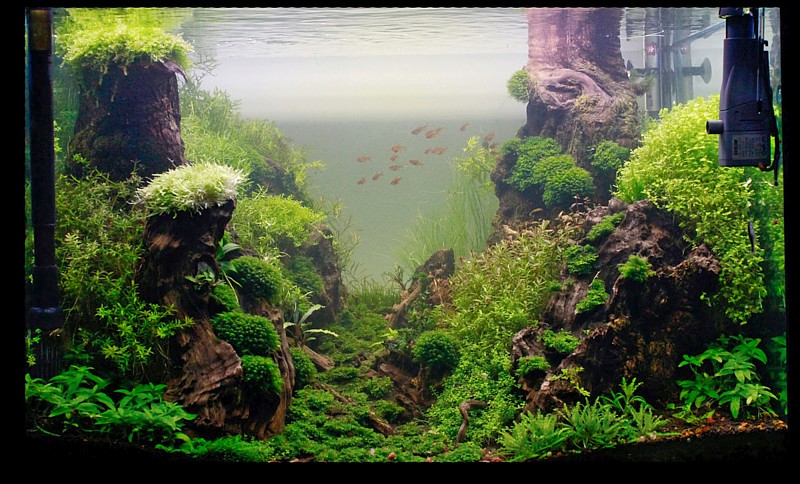 SMD LED panel aquarium