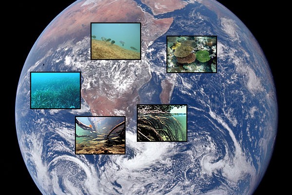 Biotopos generales en acuario