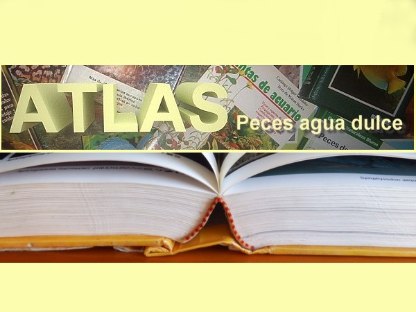 Atlas peces