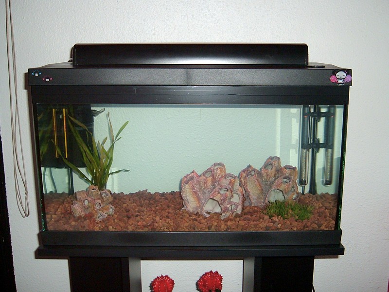 Acuario montado en ciclado